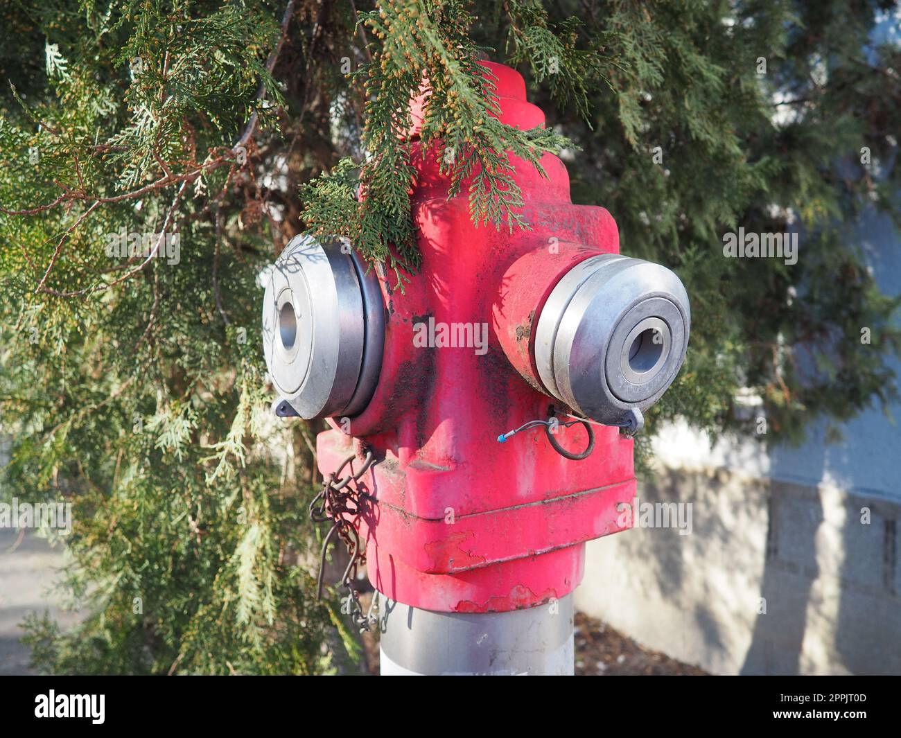 bouche d'incendie. Équipement extérieur pour éteindre les incendies en milieu urbain. Métal peint en couleur kars. Deux robinets de tuyau d'incendie. Thuja part en arrière-plan Banque D'Images