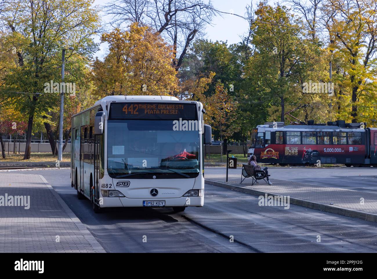 Bucarest bus à l'automne Banque D'Images
