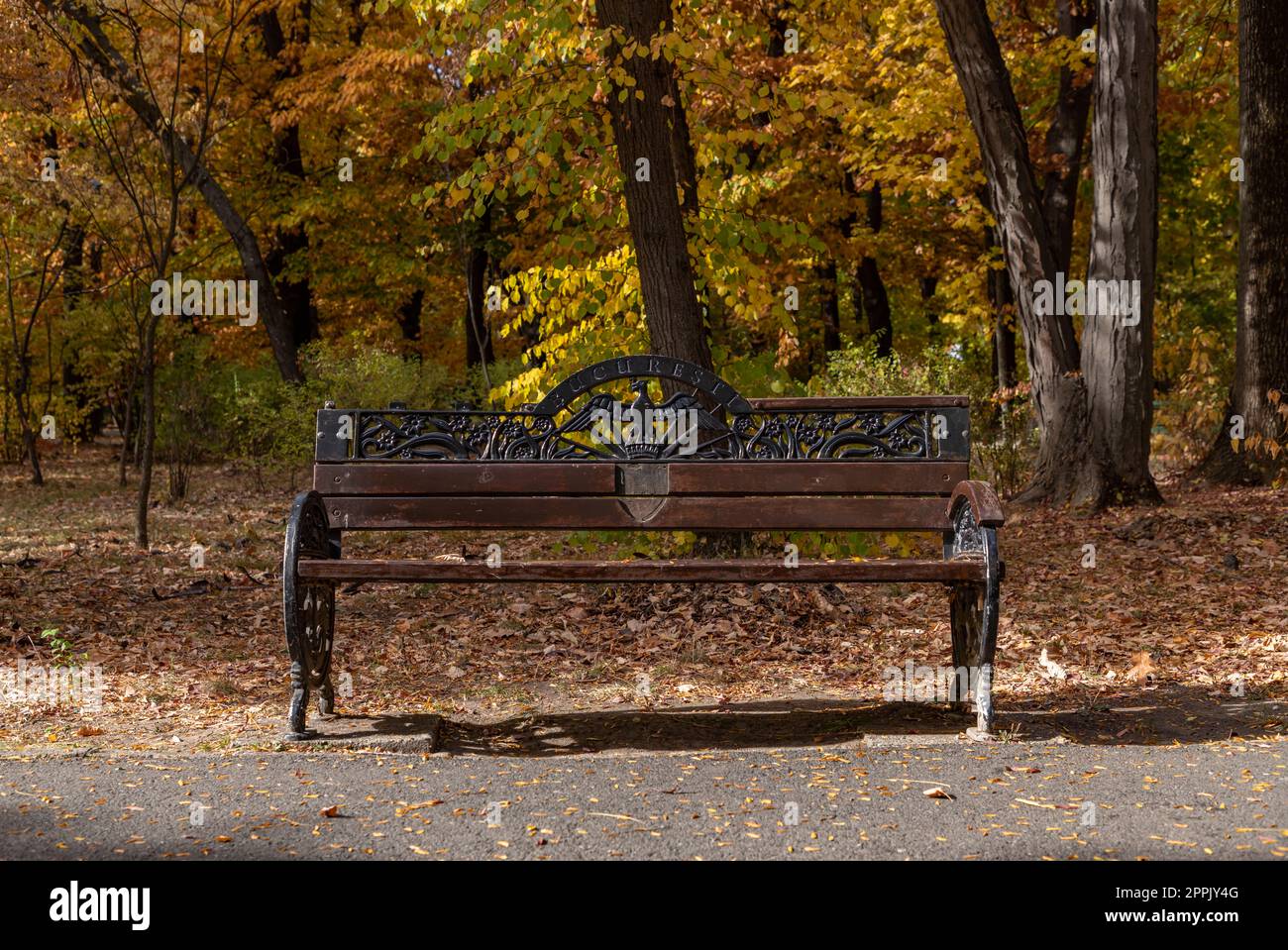 Herastrau Park Bench à l'automne Banque D'Images