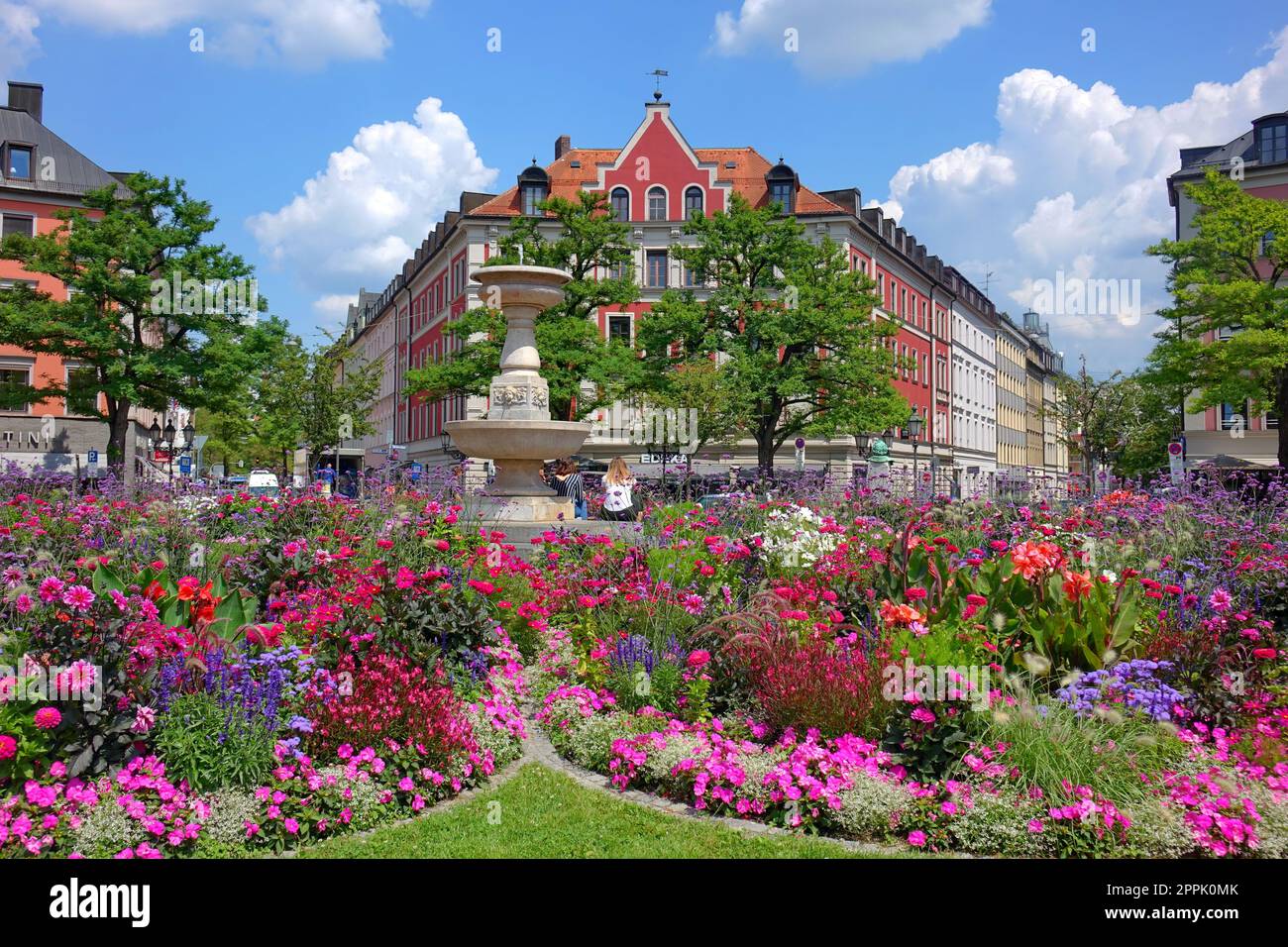Europe, Allemagne, Bavière, Munich, vieille ville, GÃ¤rtnerplatz, Isarvorstadt, plante à fleurs Banque D'Images