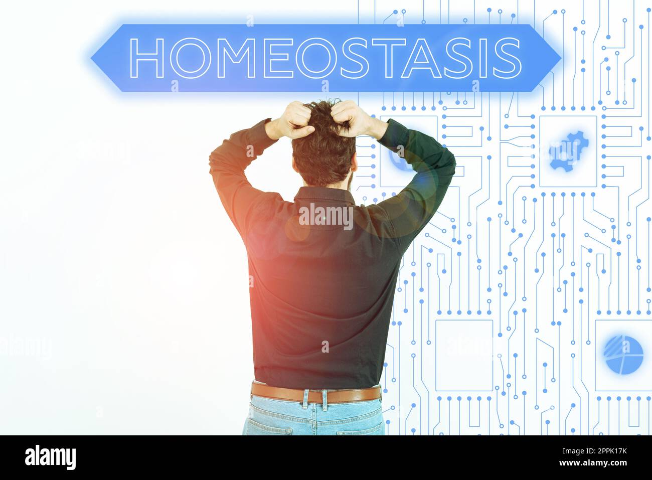 Signe d'écriture à la main homéostasie. Aperçu de l'entreprise tendance à un équilibre entre les éléments interdépendants Banque D'Images