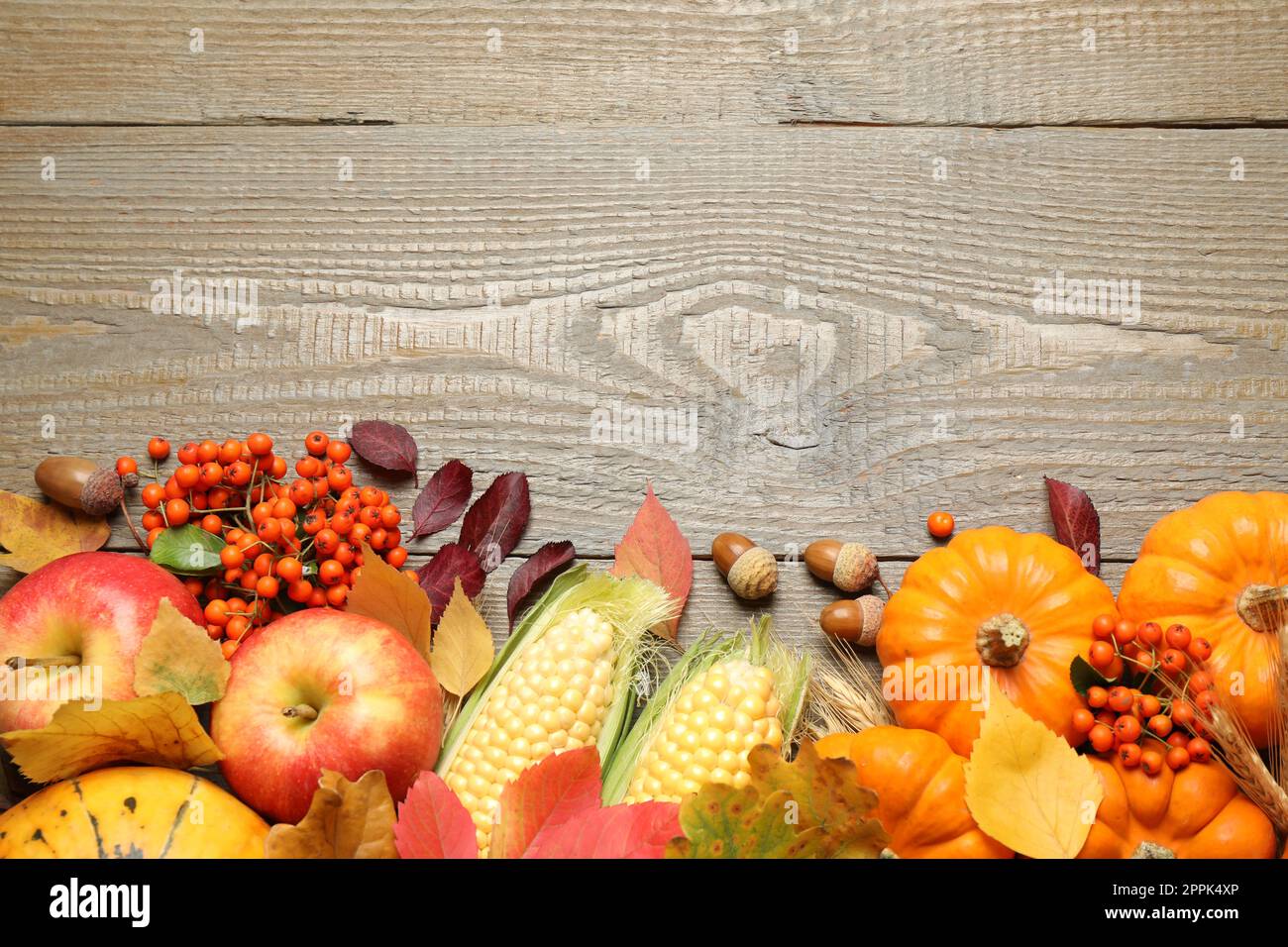 Composition de la couche plate avec des légumes, des baies et des feuilles d'automne sur une table en bois, espace pour le texte. Jour de Thanksgiving Banque D'Images