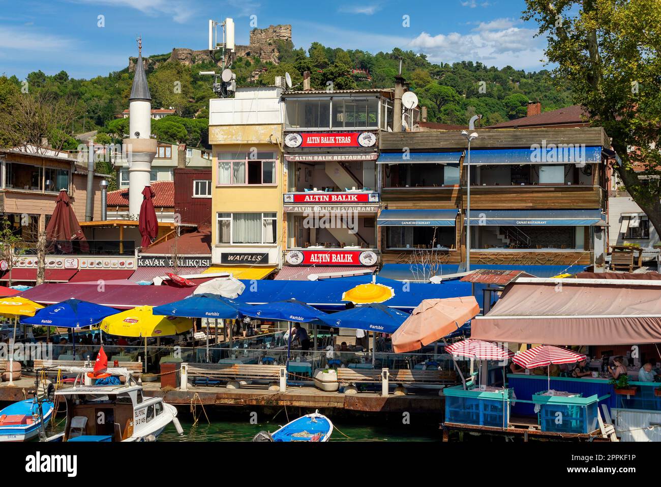 Montagnes vertes du détroit du Bosphore dans le district d'Anadolu Kavagi, avec des bateaux amarrés, des maisons et des arbres denses en été Banque D'Images
