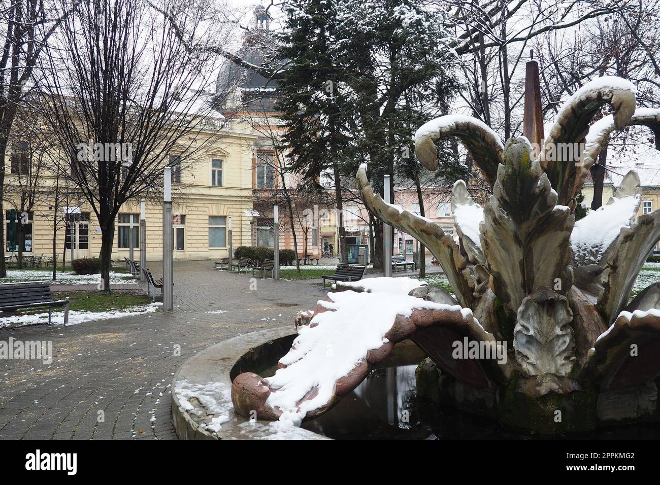 Sremska Mitrovica, Serbie 01.27.2023 ville Fontaine fleur de pierre dans le parc central. Nébulosité de neige en hiver. Parc municipal enneigé. Formes architecturales décoratives. Arbres, bibliothèque et archives de la ville. Banque D'Images