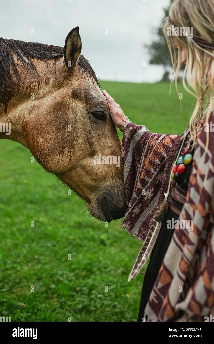 Gros plan sur le concept de cheval Banque D'Images