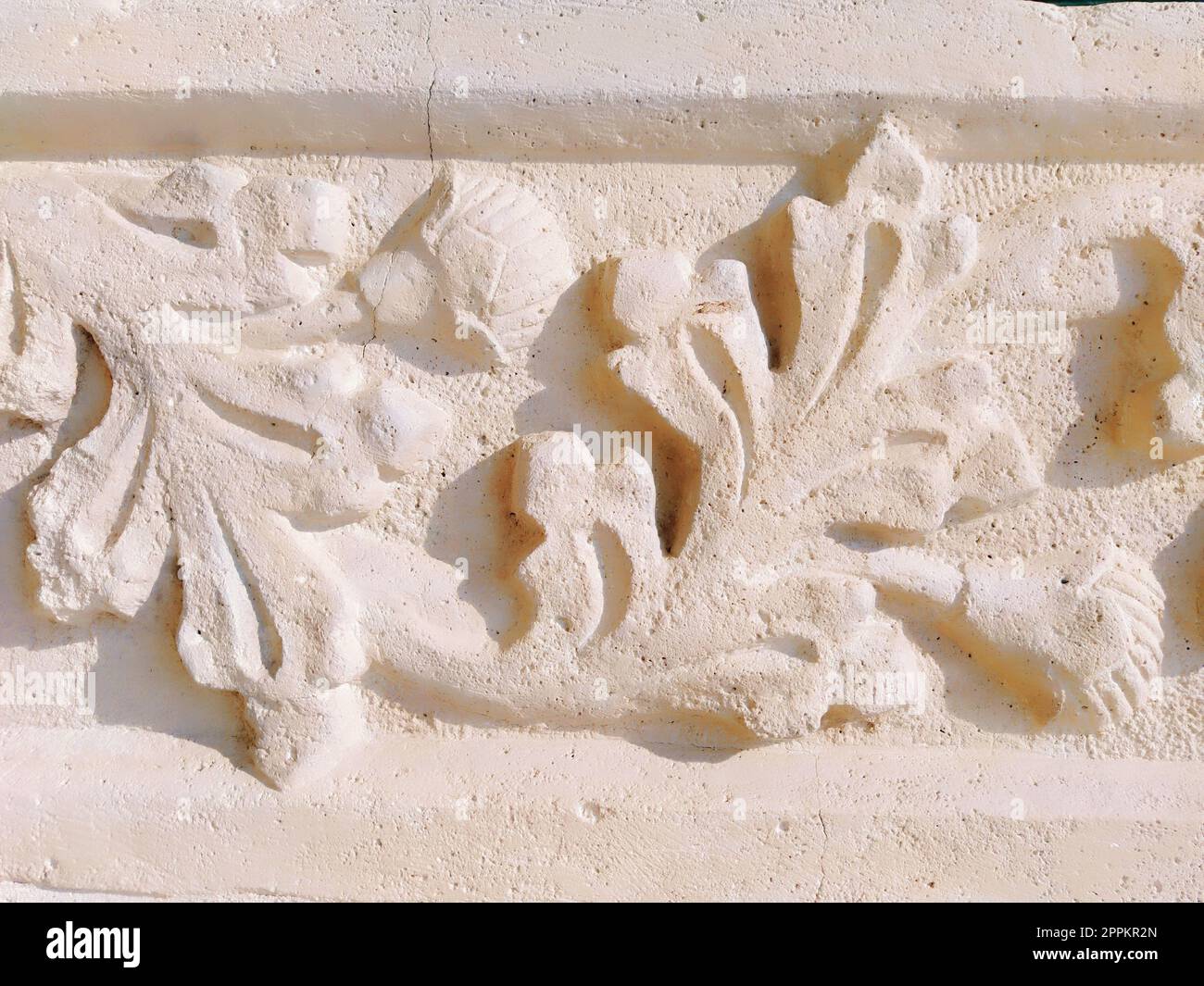 Ornement, dessin sculptural d'éléments végétaux structurés. Décorer le mur avec du stuc à Dubrovnik, Croatie. Une bande de shamrocks. Acanthus est une végétation à base de plantes, les feuilles sont des éléments en stuc. Banque D'Images