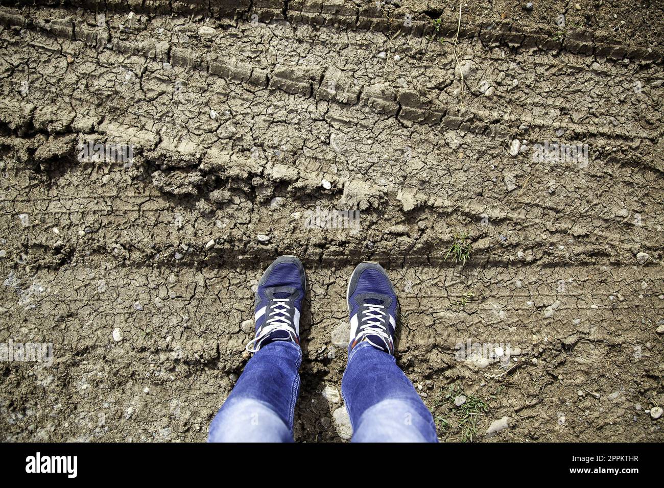 Pieds de l'homme dans la nature Banque D'Images