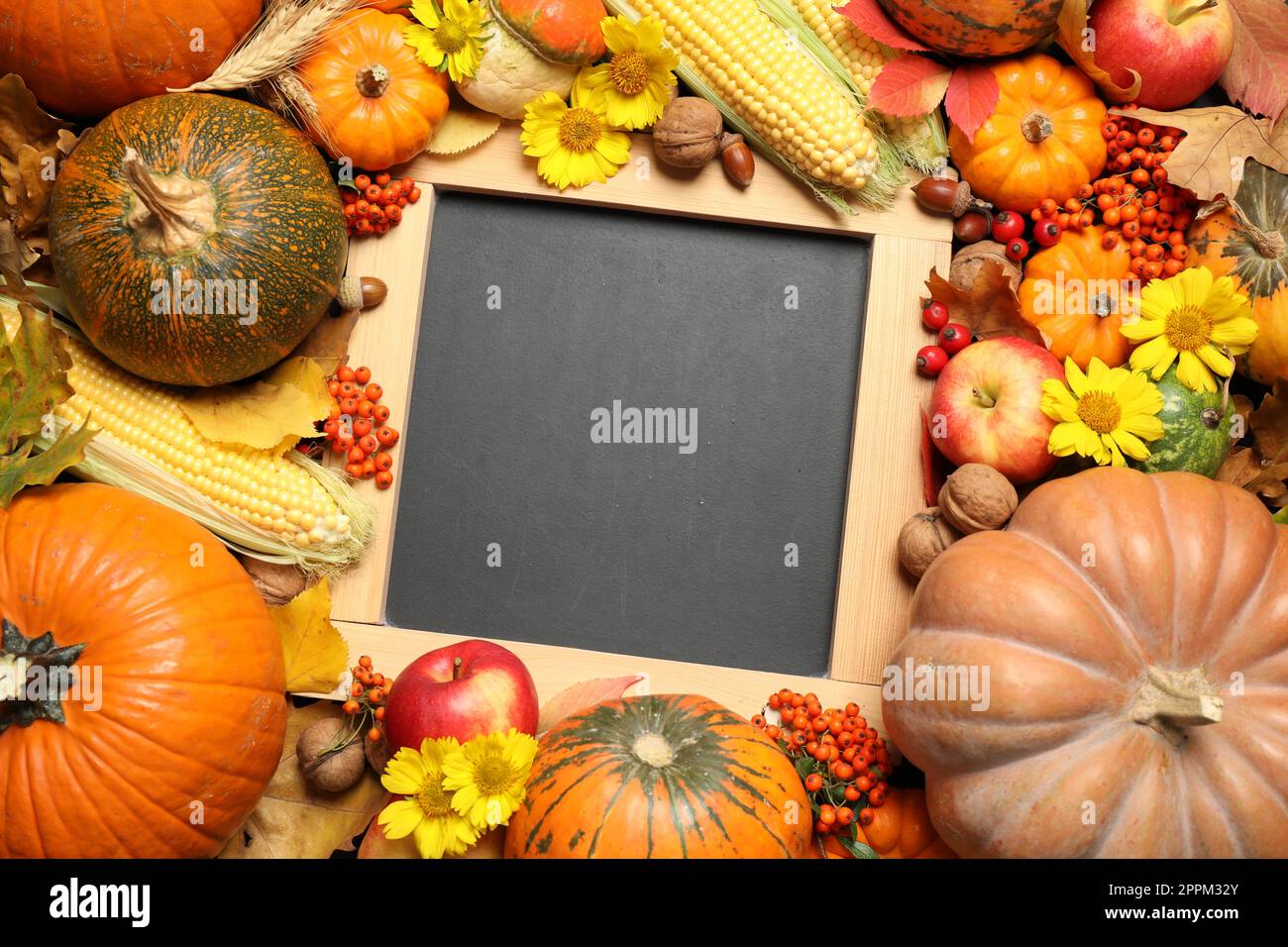 Composition de tableau noir vierge avec espace pour le texte, citrouilles mûres et feuilles d'automne comme arrière-plan, vue de dessus. Bonne journée de Thanksgiving Banque D'Images