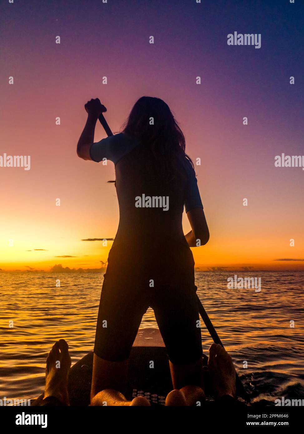 silhouette d'une fille pratiquant le paddle surf dans la mer au lever du soleil Banque D'Images