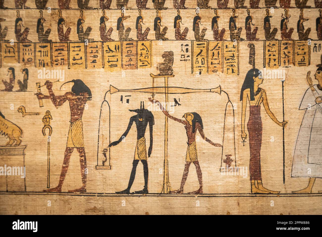 Turin, Italie - Musée égyptien. Détail du Livre des morts avec formules funéraires et sorts, papyrus, 330 av. J.-C. Banque D'Images