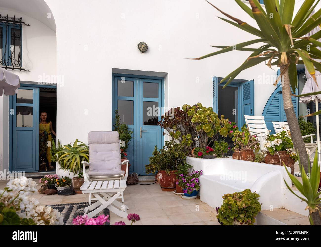 Fleurs dans des pots en céramique en face d'une maison blanchie à la chaux à Imerovigli sur l'île de Santorini Banque D'Images