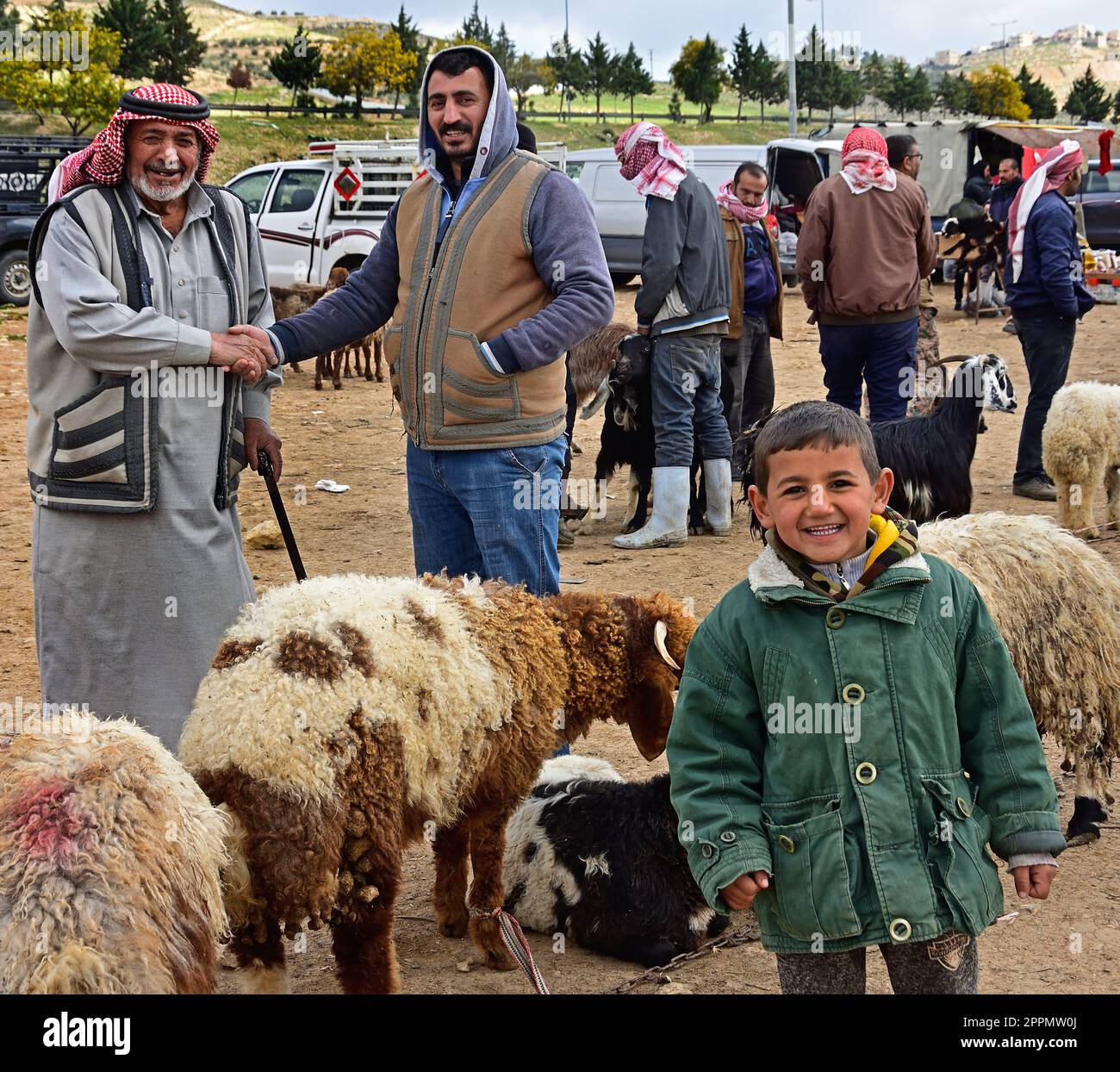 Bergers bédouins, marché des moutons et des Goat, entre Amman et Jerash, Jordanie . Banque D'Images