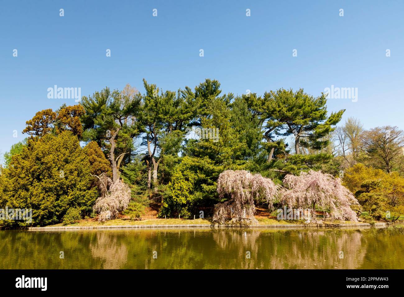 Japanese Hill-and-Pond Garden, Brooklyn Botanical Gardens, Brooklyn, New York, États-Unis Banque D'Images