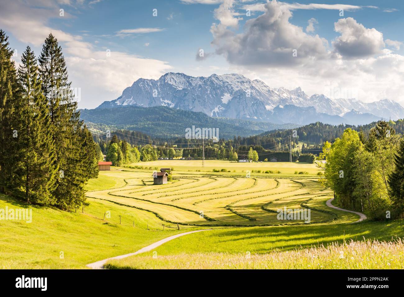 Sentier de randonnée dans la région de Karewndel Moutain (Bavière) (Allemagne) Banque D'Images