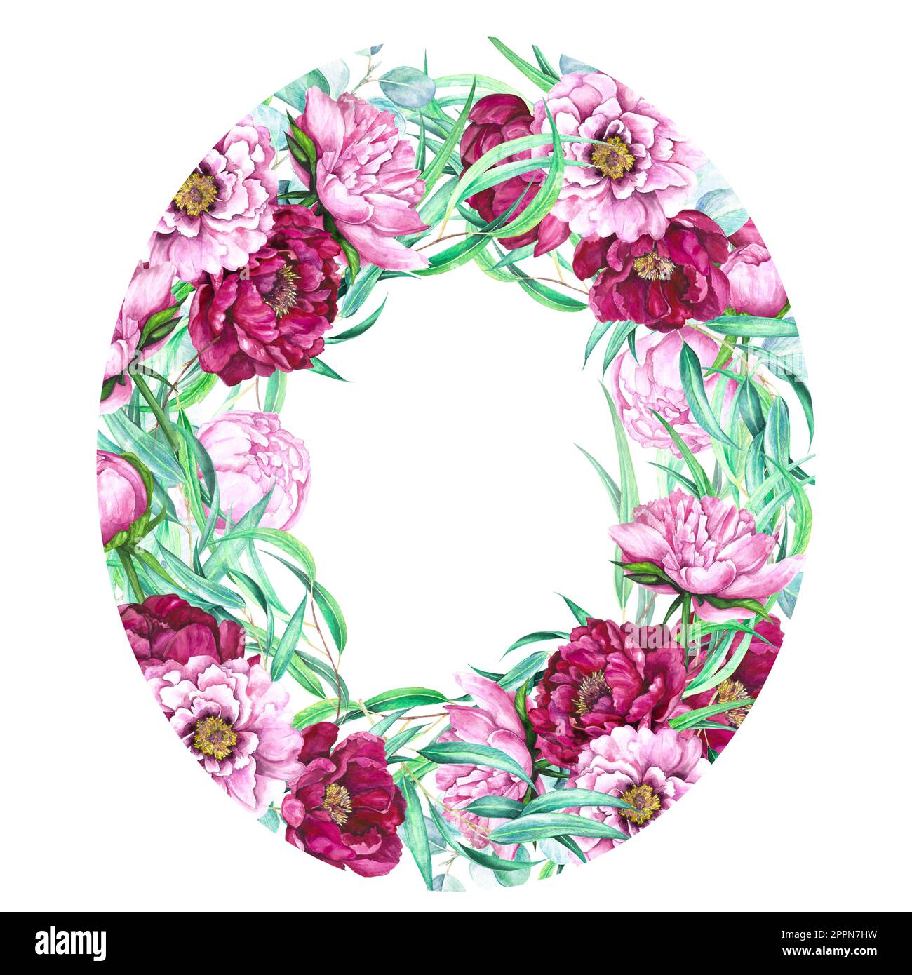 Cadre d'illustration aquarelle de bourgeons de pivoine de couleur rose magenta et de feuilles d'eucalyptus isolées sur fond blanc. Banque D'Images