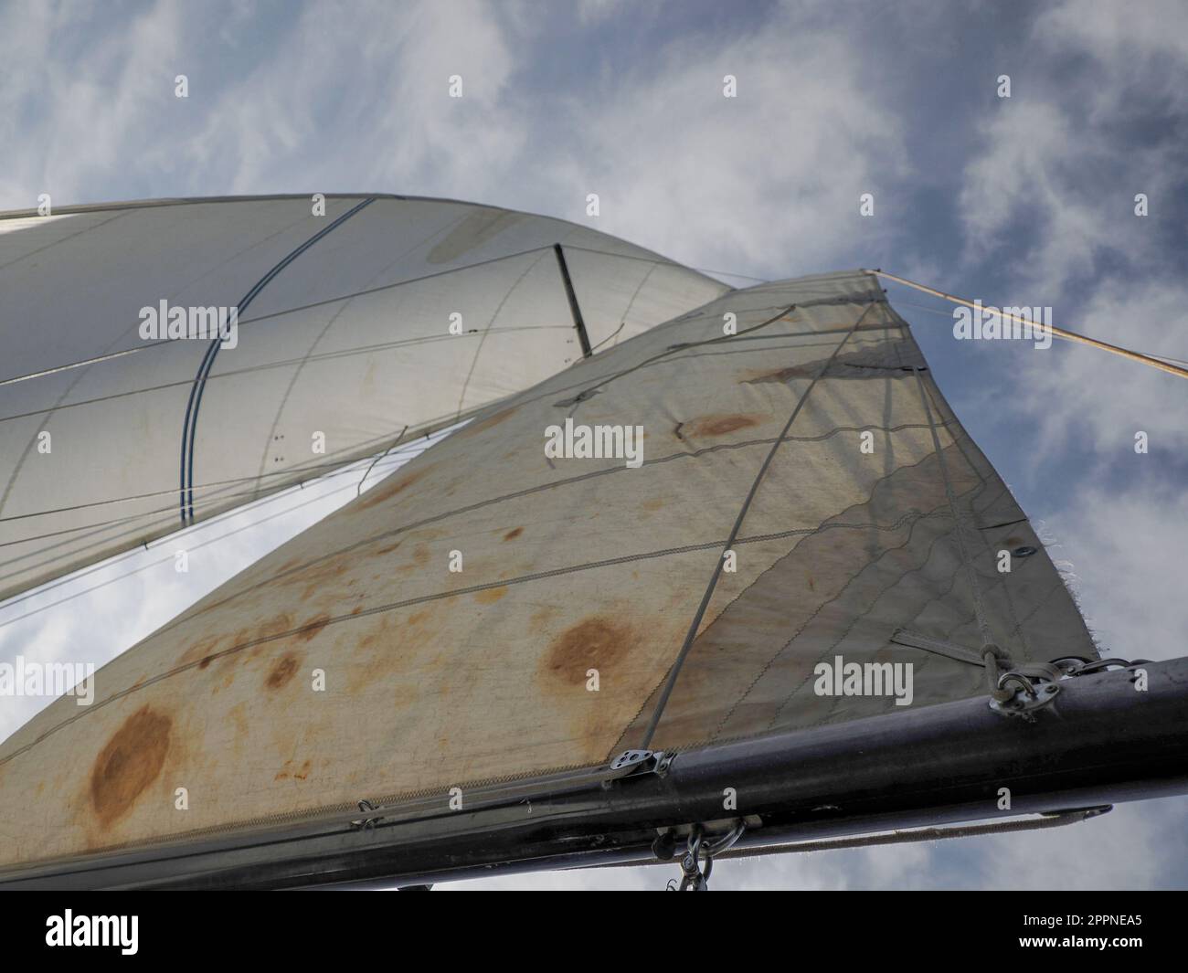 Corde à Voile / Cordelette, Diamètre 5 Mm, Longueur 1 M, Jaune Clair