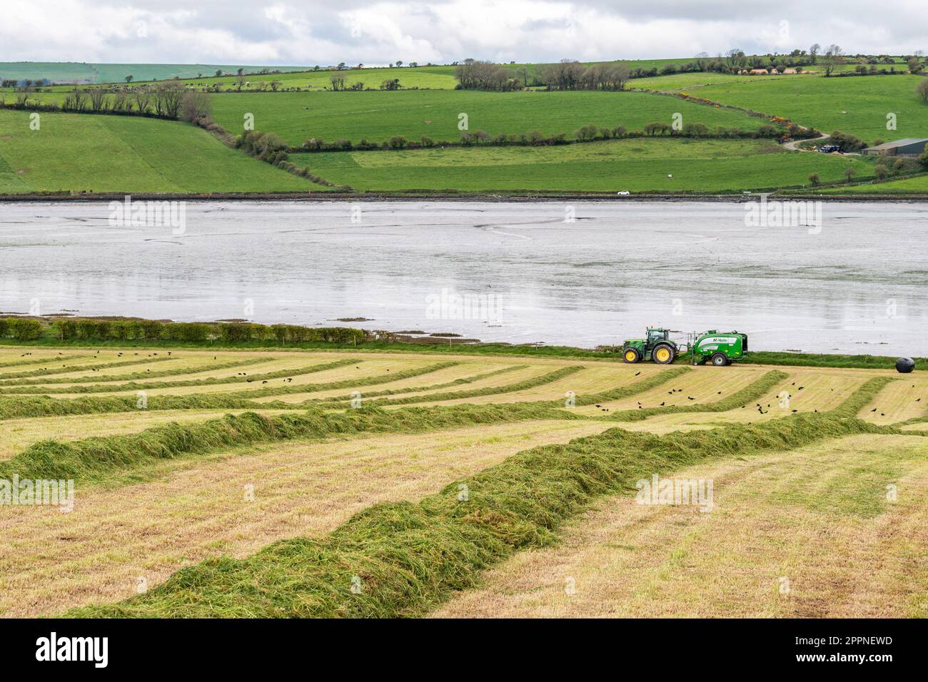 Timoleague, West Cork, Irlande. 24th avril 2023. Richard Fleming, de Fleming Agricultural Contractors LTD, utilise une toute nouvelle presse Fusion 4 et un tracteur John Deere 6150R pour l'ensilage de Finbarr Griffin, producteur laitier basé à Timoleague. Crédit : AG News/Alay Live News. Banque D'Images