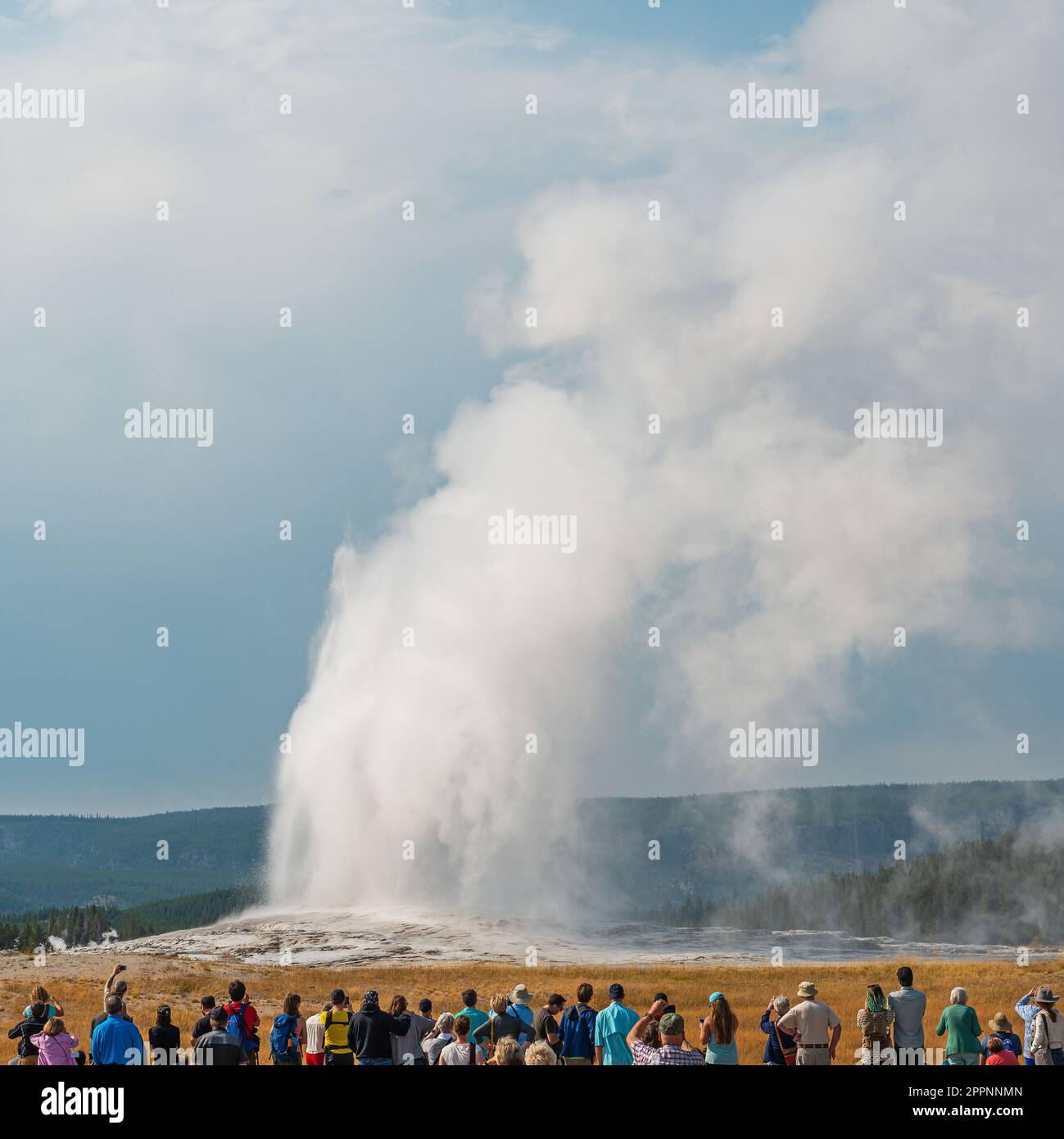 Touristes méconnaissables regardant l'éruption de la source chaude du geyser Old Faithful, parc national de Yellowstone, Wyoming, États-Unis. Banque D'Images