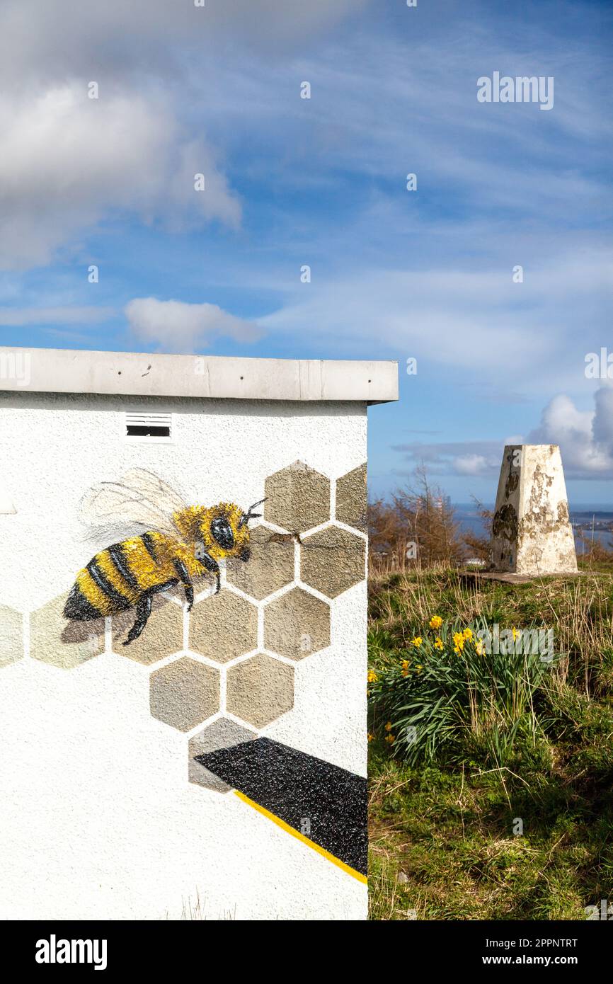 Murale oiseaux et abeilles de Paco Graff, 2020 sur un bâtiment d'utilité en haut de Dundee Law Banque D'Images