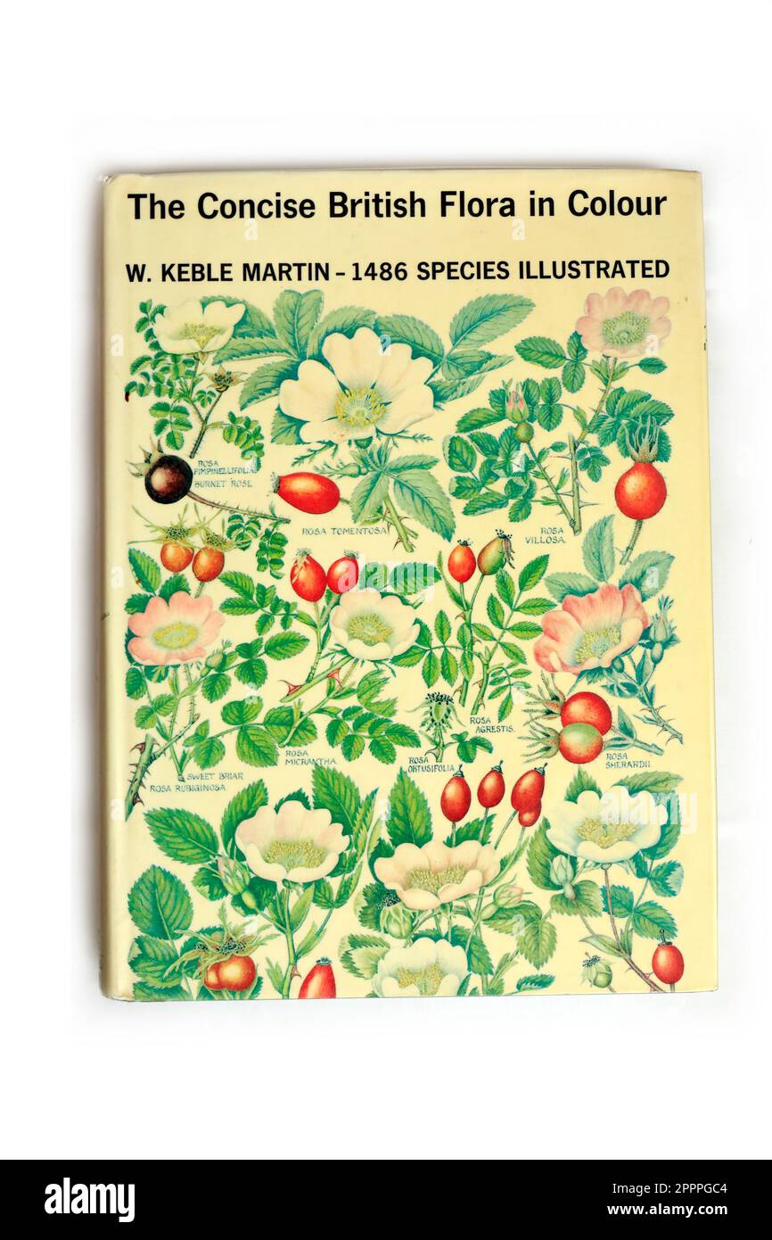Livre Hardback - la flore britannique concise en couleur par W. Keble Martin. 1486 espèces illustrées Banque D'Images