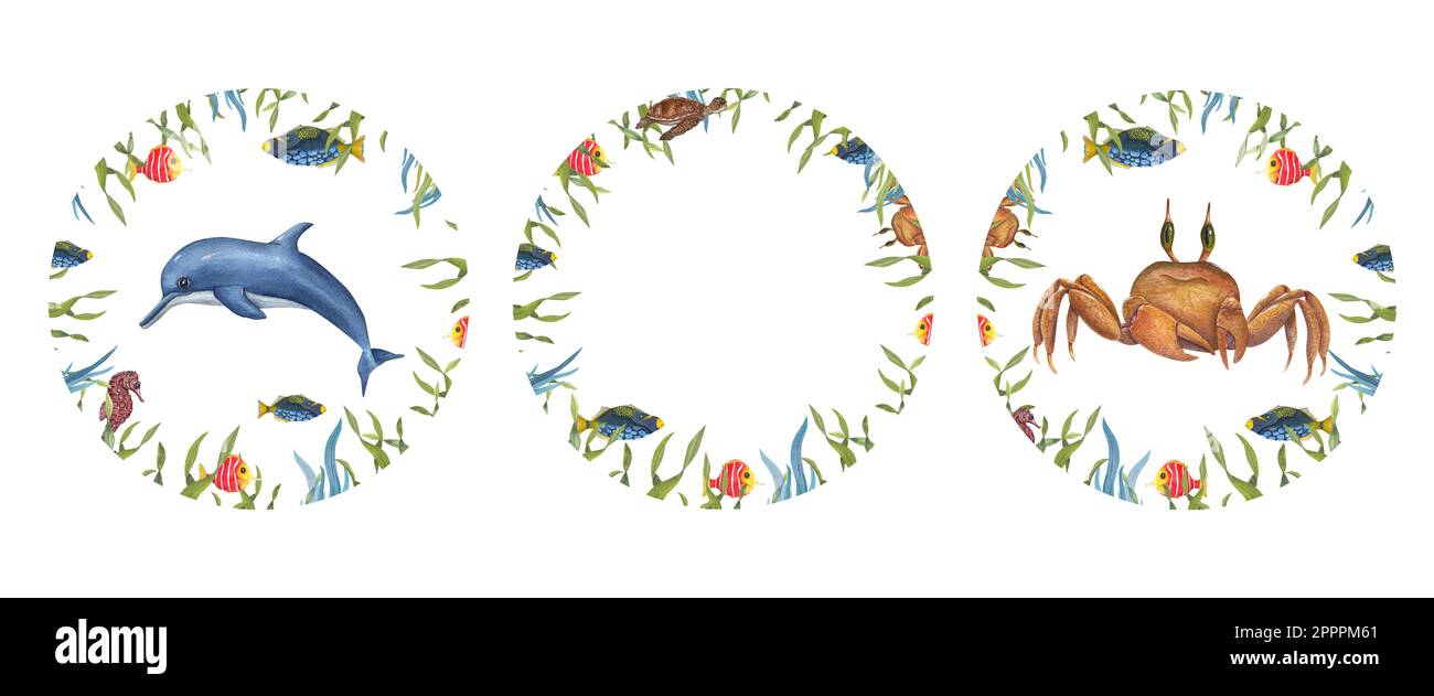 Ensemble de cadre aquarelle rond de style marin isolé sur fond blanc. Illustration avec de jolis animaux de mer parmi les plantes pour un motif carte postale Banque D'Images