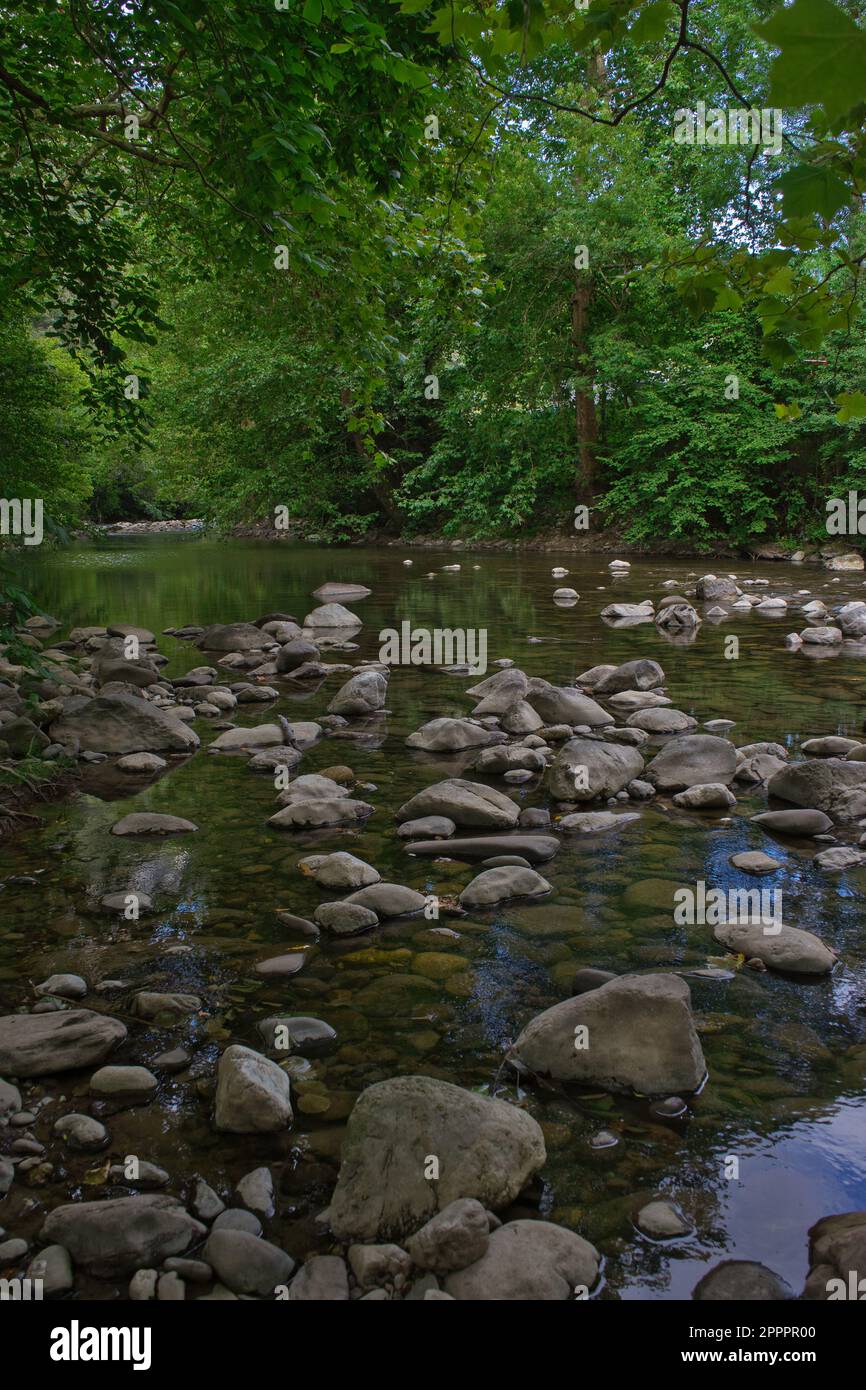 Magnifique paysage naturel avec une végétation fraîche et des pierres sur la rivière. Fond vert naturel qui transmet calme et détente. Séjour déti Banque D'Images