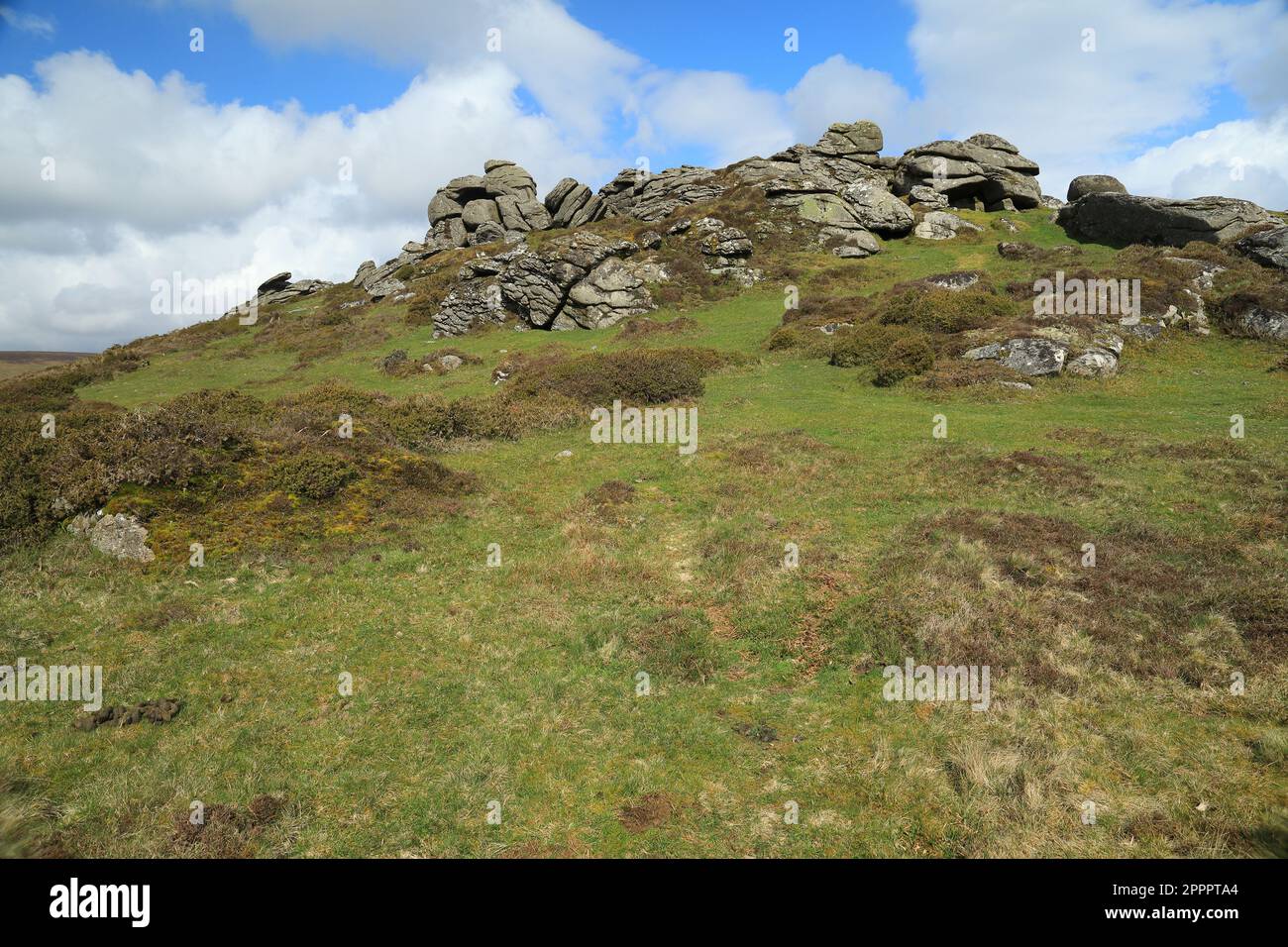 Vue sur le printemps de Honeybag tor. Dartmoor, Devon, Angleterre, Royaume-Uni Banque D'Images