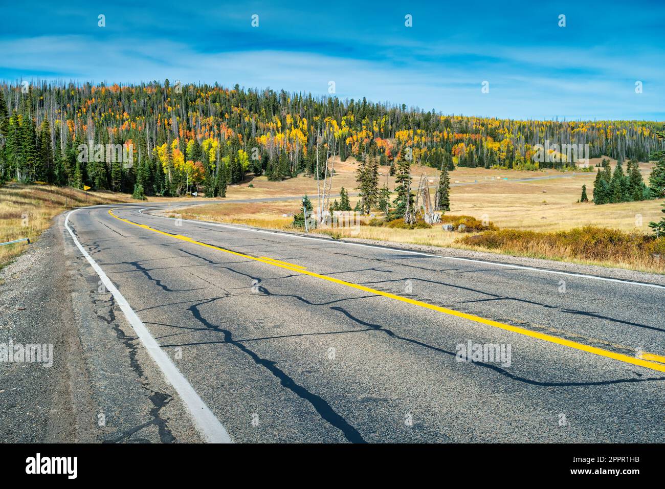 Highway à Cedar Breaks National Monument dans l'Utah, États-Unis. Banque D'Images
