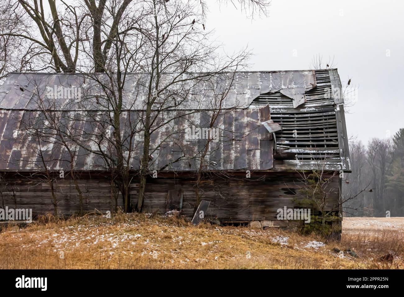L'ancienne grange est tombée en désuétude et en réparation dans le centre du Michigan, aux États-Unis [aucune autorisation de propriété; licence éditoriale seulement] Banque D'Images