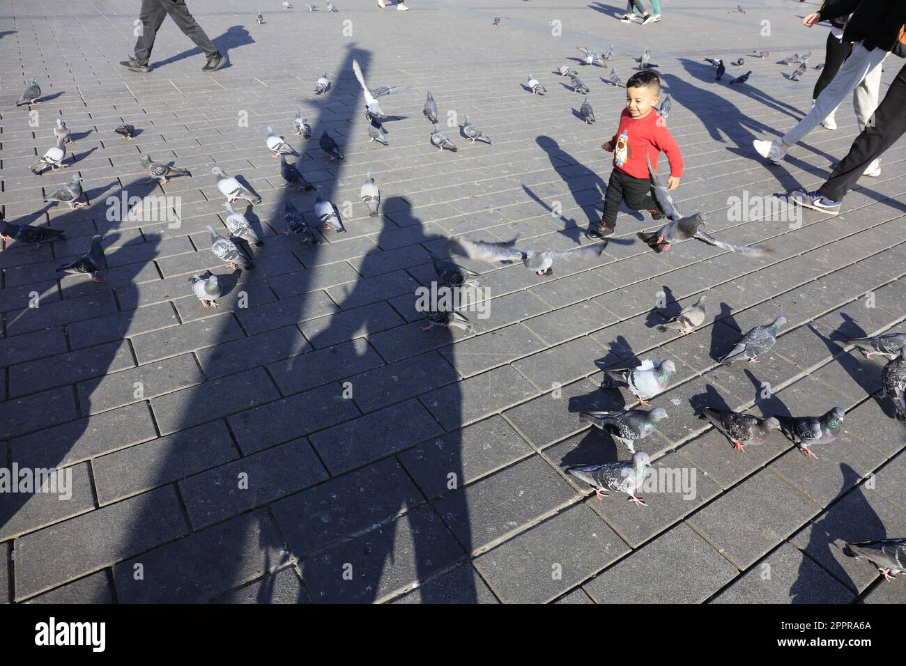 Enfant jouant avec des oiseaux sur la place Taksim à Istanbul, Turquie, Europe Banque D'Images