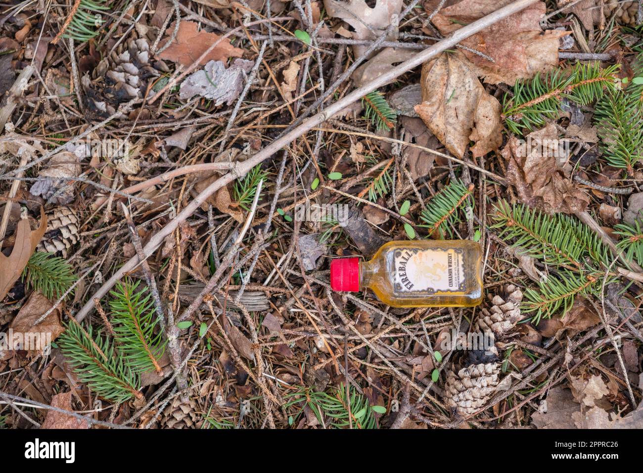 Everett, ma, US-5 avril 2023 : bouteille de liqueur vide au sol. Les communautés locales envisagent d'interdire la vente de bouteilles d'alcool à usage unique. Banque D'Images