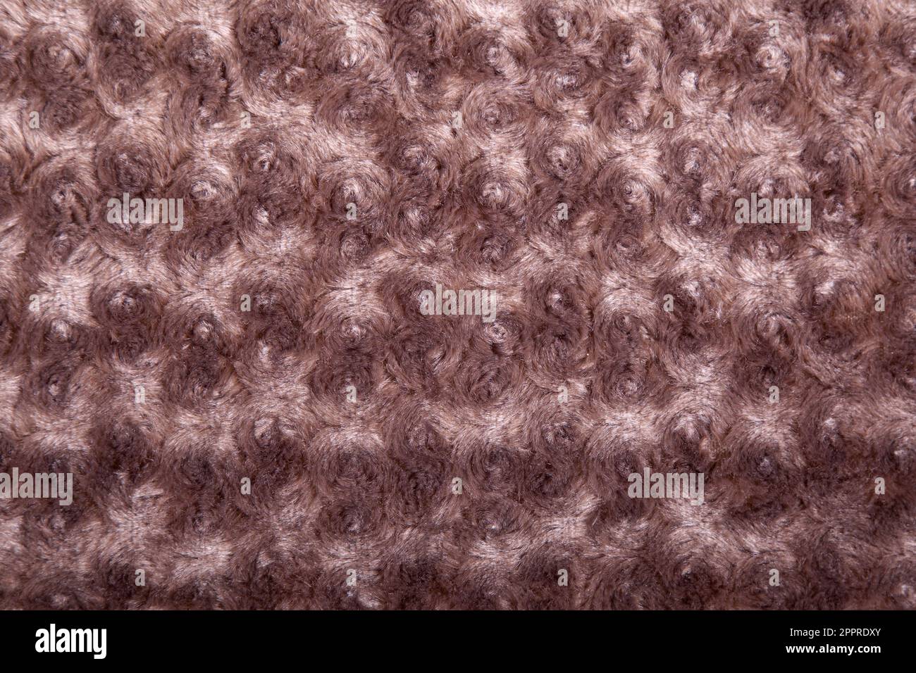 Fausse laine brun ondulé beige foncé. Laine artificielle d'un mouton. Gros plan sur la texture du tissu, utile comme arrière-plan. Banque D'Images