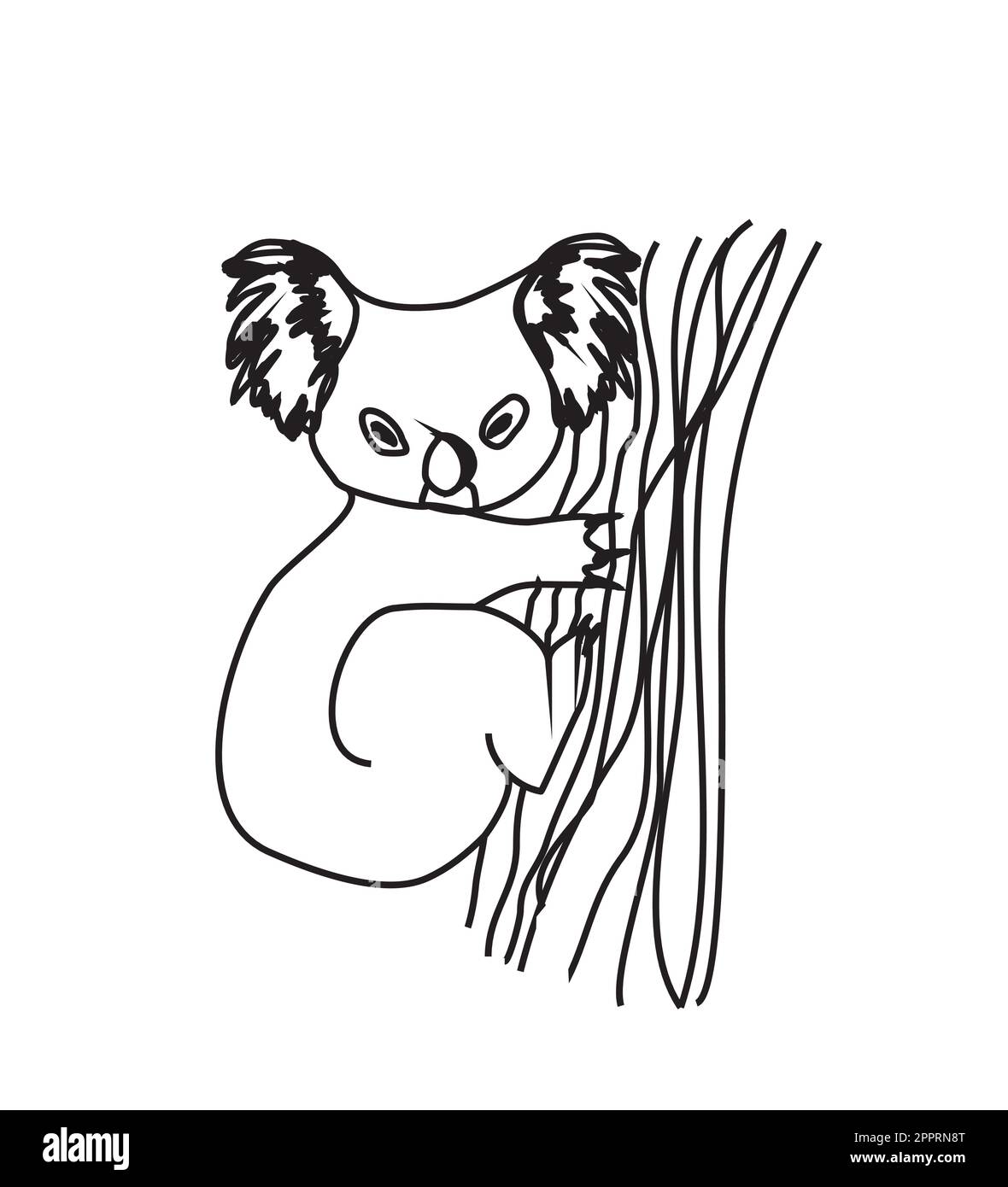 Dessin animé koala. Illustration de Vecteur