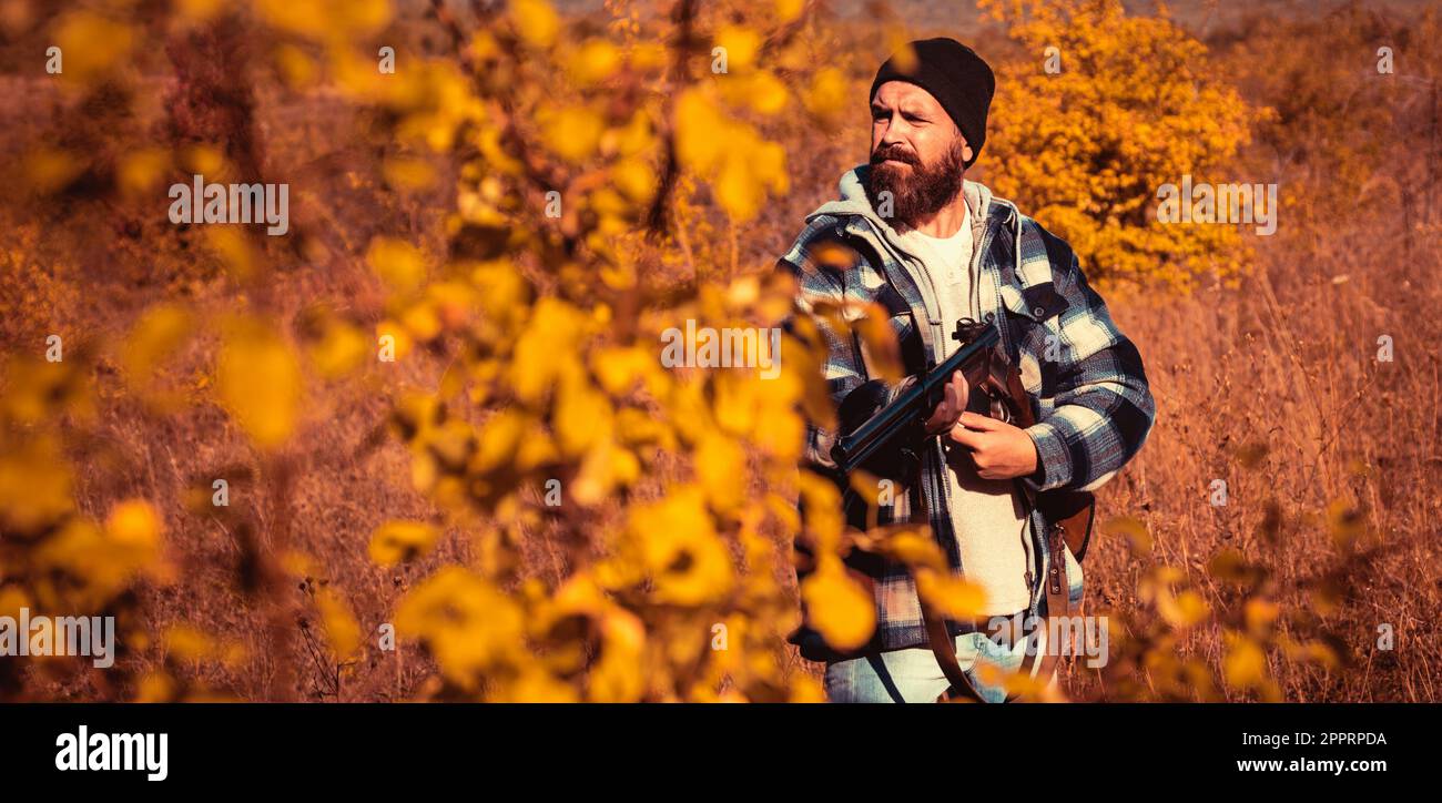 Saison de chasse en automne. Chasseur avec fusil de chasse. Recherche automatique. Banque D'Images