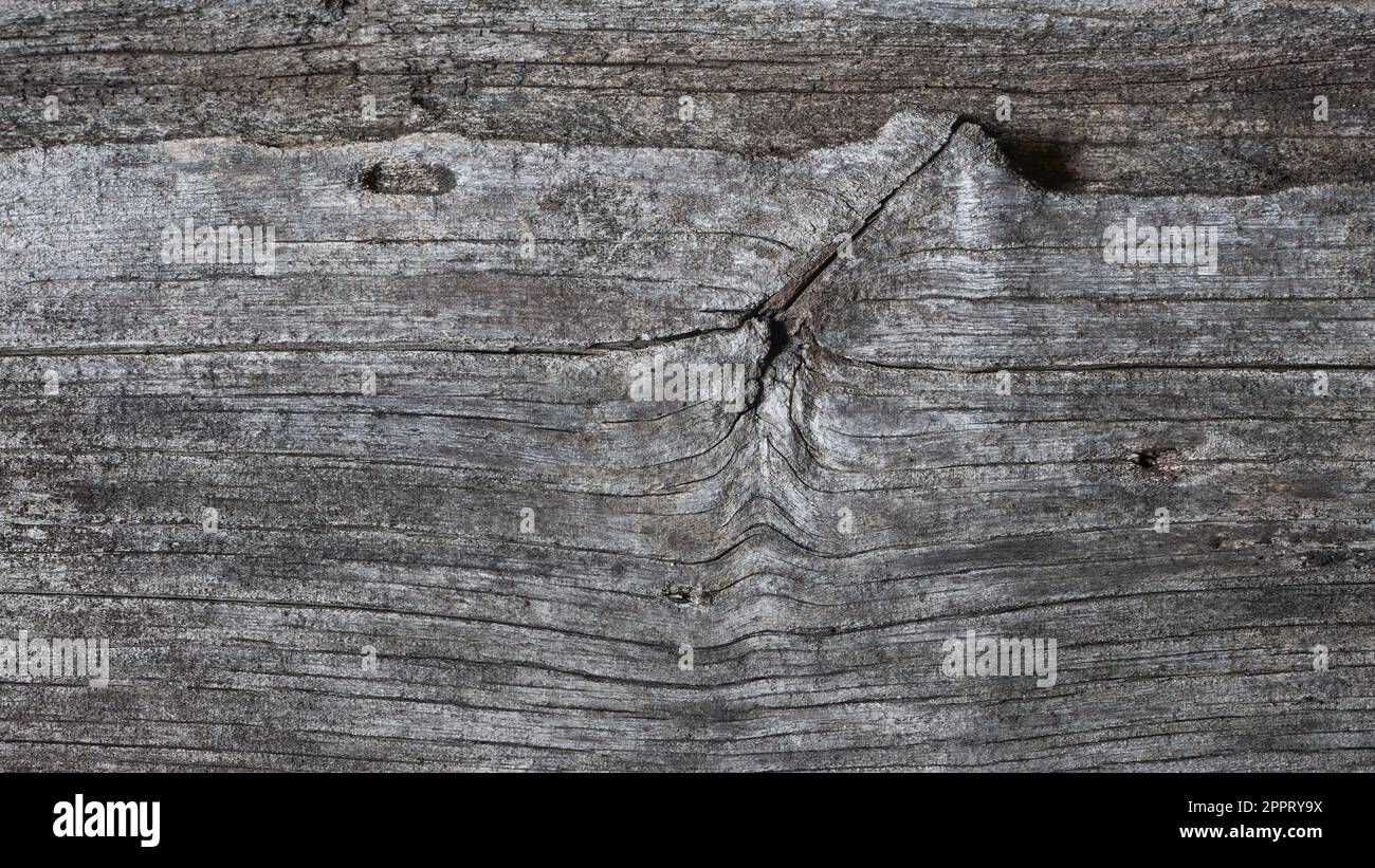 texture d'arrière-plan en bois ancien, naturellement érodée et érodée par le temps surface en bois pour la photographie toile de fond rustique avec fissures, papier peint de tons neutres Banque D'Images