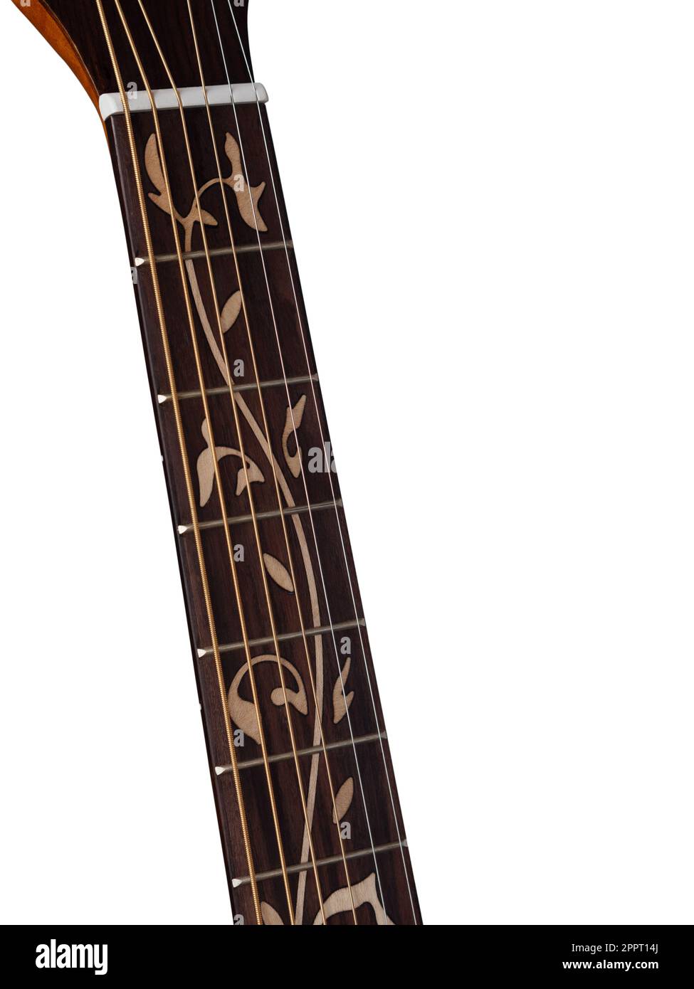 Incrustation de guitare , incrustation de fleur sur le tableau, avec chemin de coupure, isolée sur fond blanc Banque D'Images
