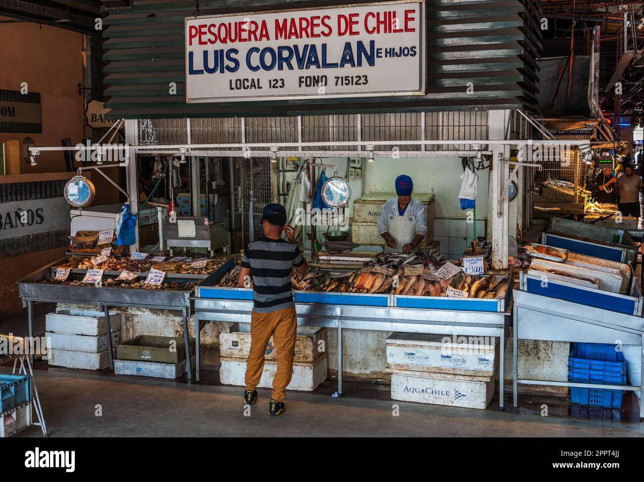 Vendeurs de poisson au marché central de Santiago, Chili Banque D'Images