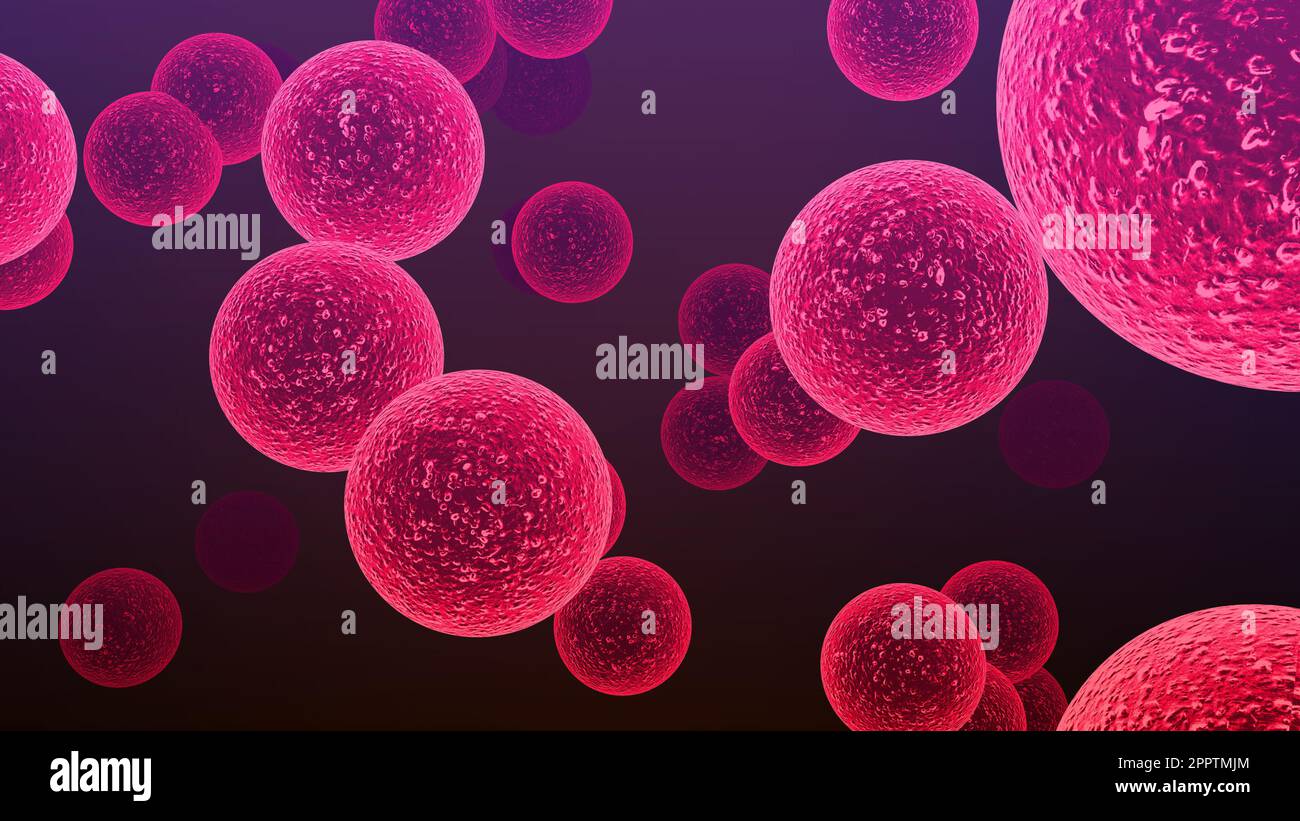 Bactérie Streptococcus. Les espèces de Streptococcus sont responsables ...