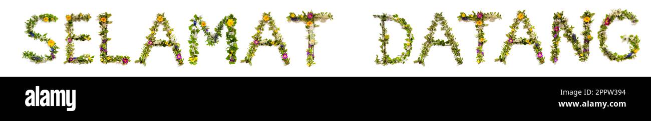 Fleurs colorées Bâtiment Word Relax, arrière-plan isolé Banque D'Images