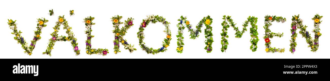 Fleurs colorées Bâtiment Word V lkommen, arrière-plan isolé Banque D'Images