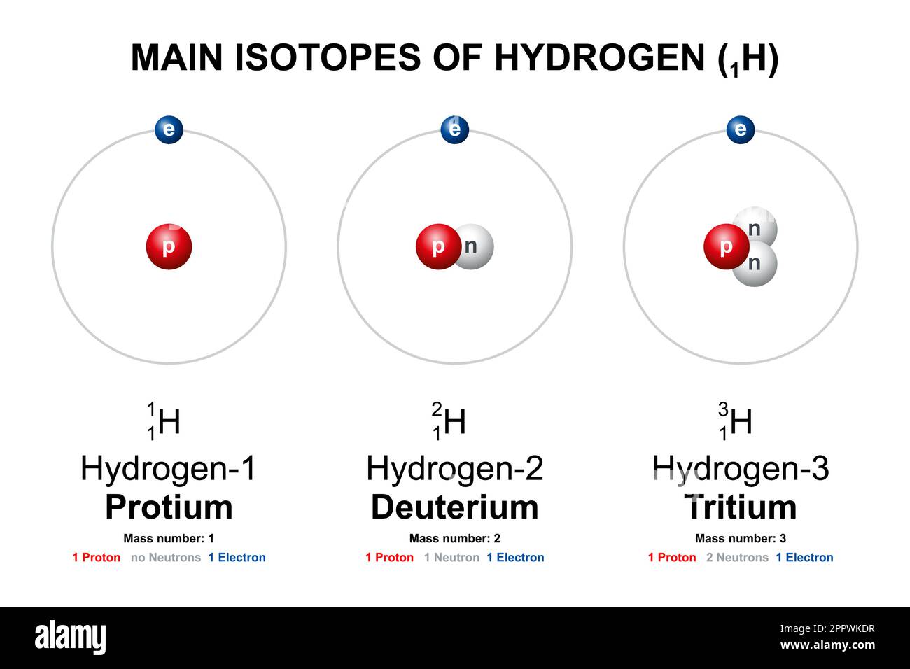 Principaux isotopes de l'hydrogène, du protium, du deutérium (D) et du tritium (T) Illustration de Vecteur