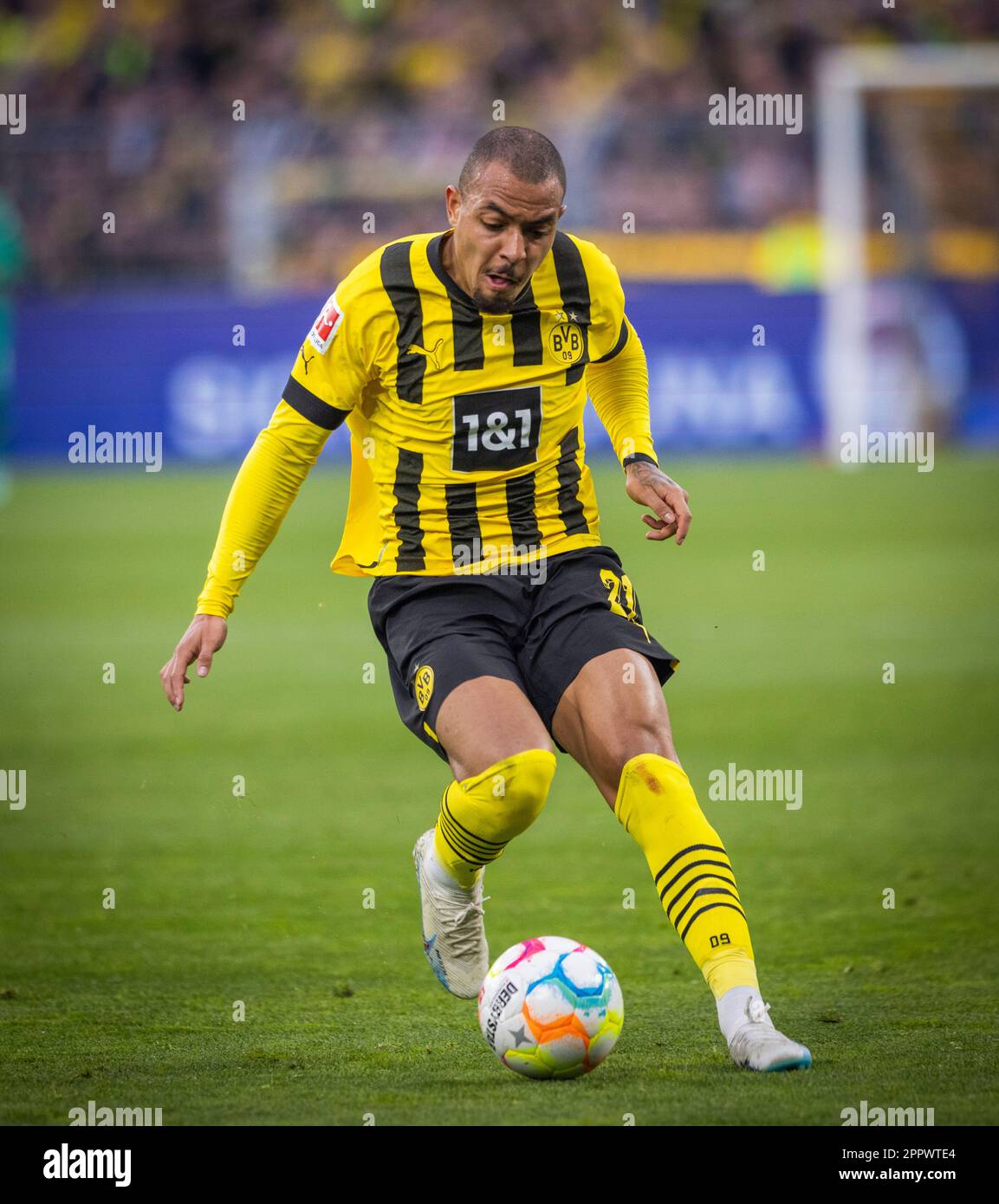 Dortmund Allemagne 22nd Avril 2023 Donyell Malen BVB Borussia Dortmund Allemagne 22nd Avril 2023 Donyell Malen BVB Borussia