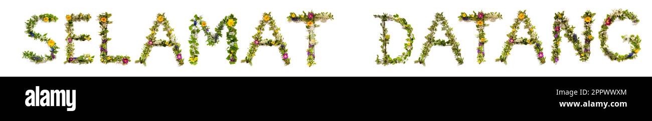 Fleurs colorées Bâtiment Word Relax, arrière-plan isolé Banque D'Images