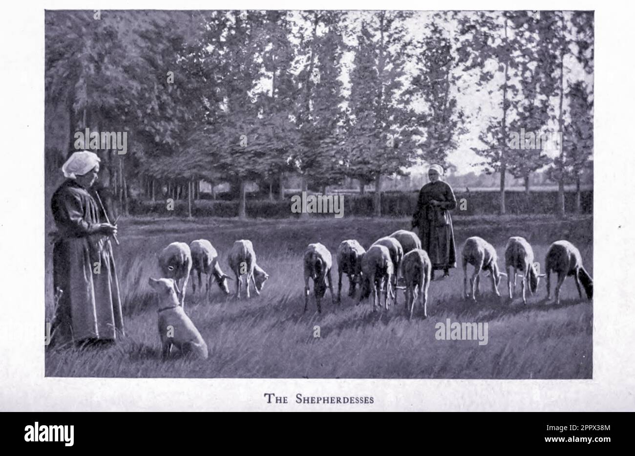 The Shepherdesses from the book ' Along French byways ' by Clifton Johnson, 1865-1940 Date de publication 1907 Éditeur New York The Macmillan Company Banque D'Images