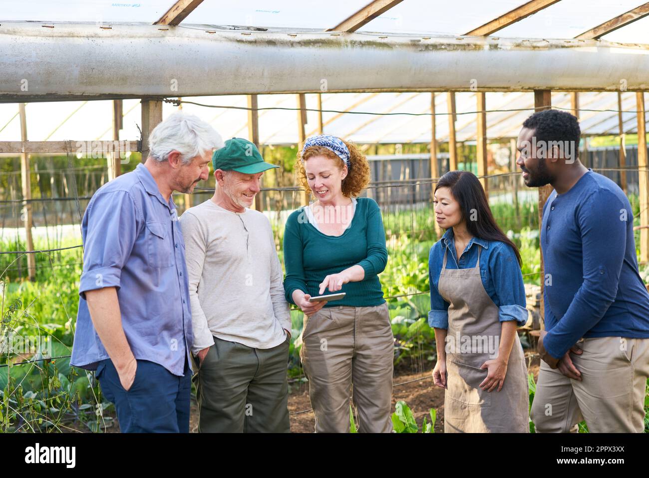 Une agronome féminine explique les agriculteurs multiculturels, hommes et femmes, par rapport à un PC tablette dans une ferme biologique Banque D'Images