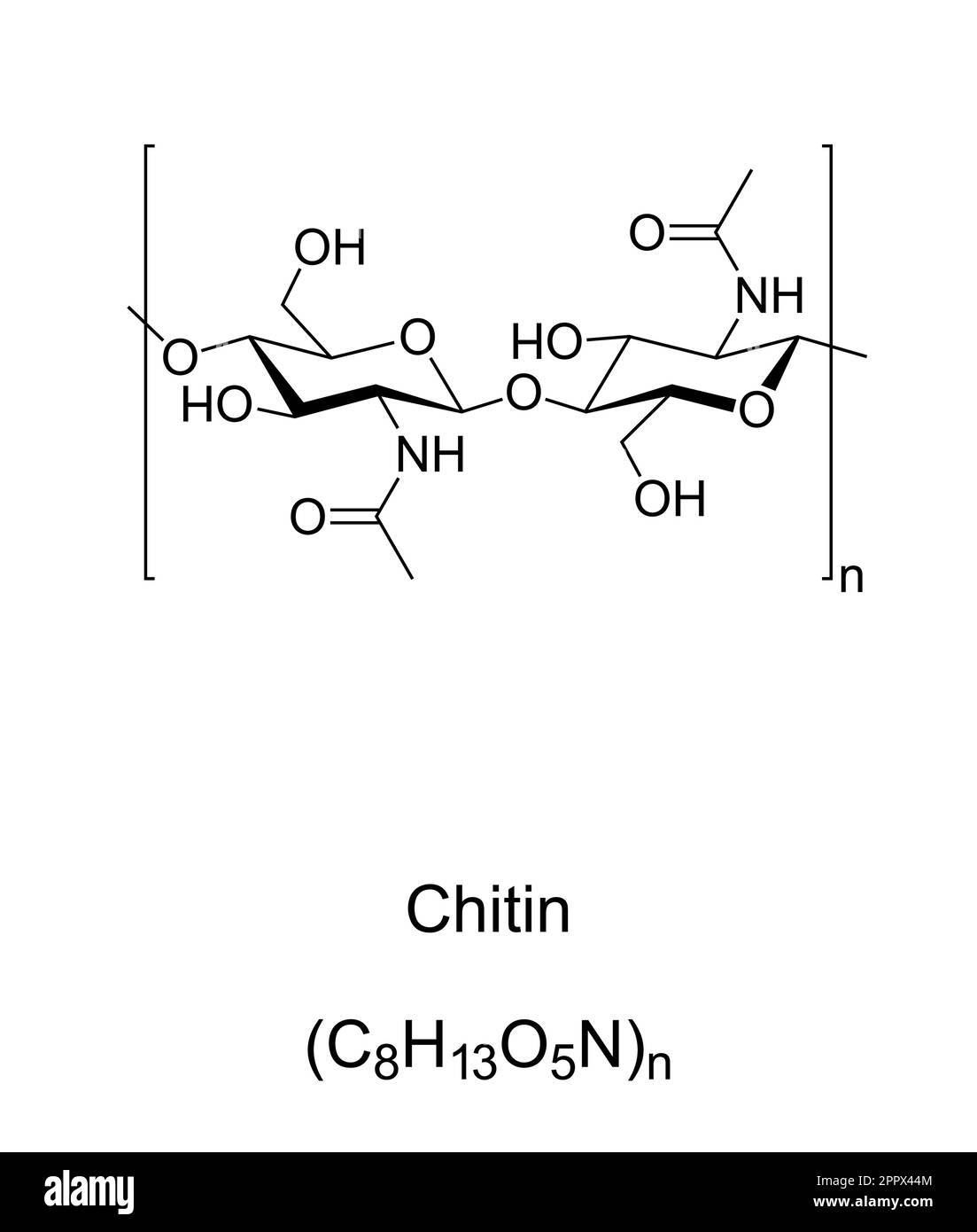Chitine, structure chimique, composant des parois cellulaires dans les exosquelettes d'insectes Illustration de Vecteur