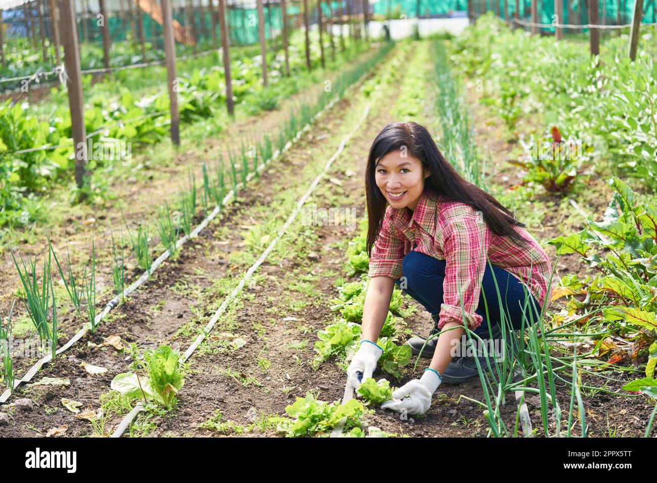 Portrait d'une agricultrice souriante qui s'accroupette au milieu de plantes en serre Banque D'Images