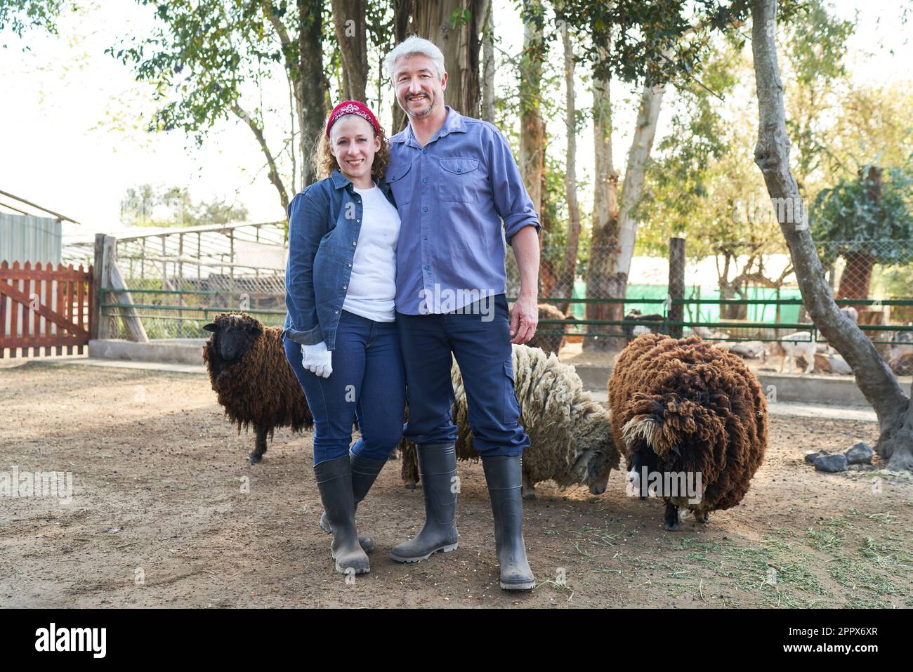Portrait complet de femmes et d'agriculteurs souriants debout avec des moutons contre des arbres à la ferme Banque D'Images