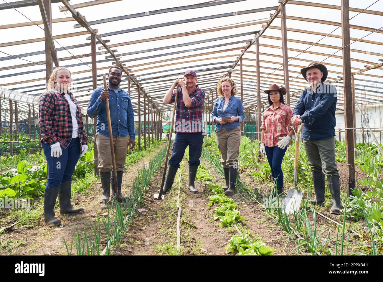 Portrait d'agriculteurs multiculturels souriants, hommes et femmes, debout avec des outils à la serre Banque D'Images