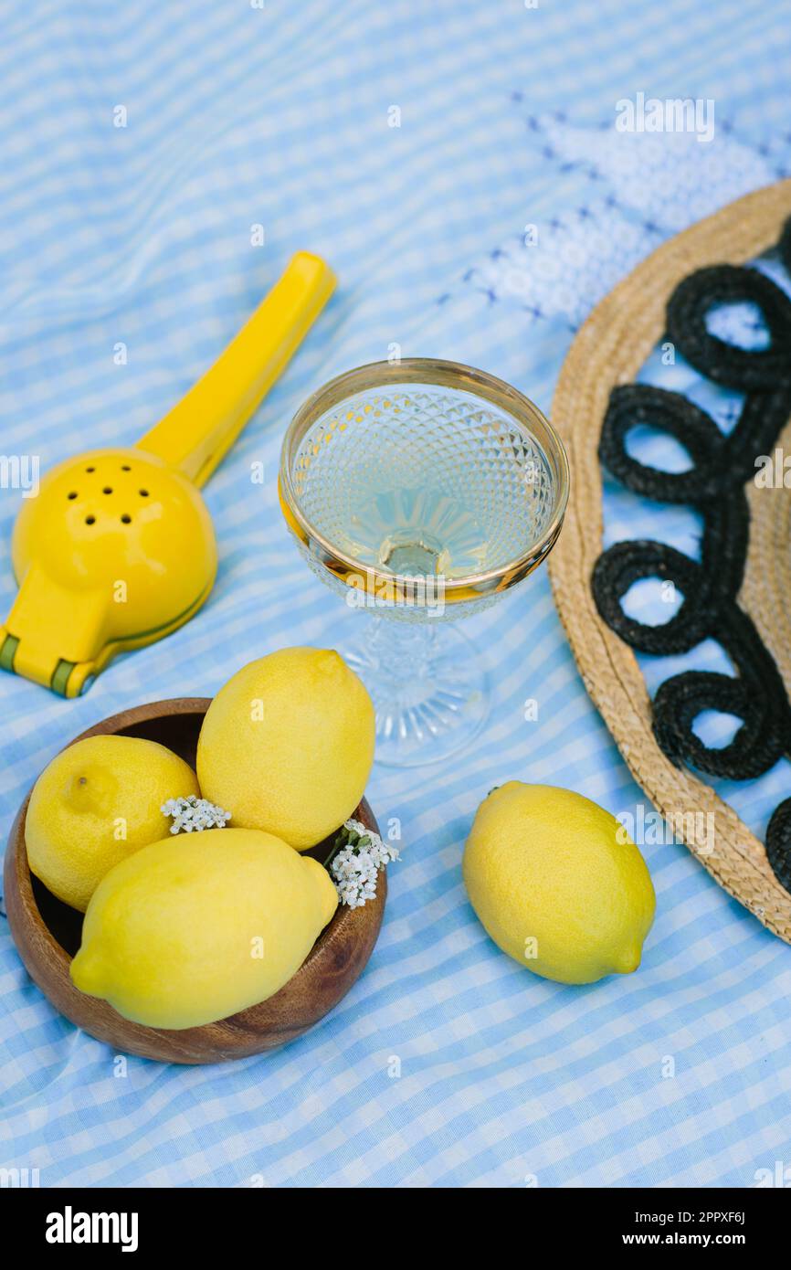 Composition de lunettes de vin transparentes placées sur un tissu à carreaux bleus près des citrons jaunes mûrs et du presse-agrumes pendant le pique-nique Banque D'Images